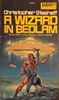 A Wizard in Bedlam Thumbnail