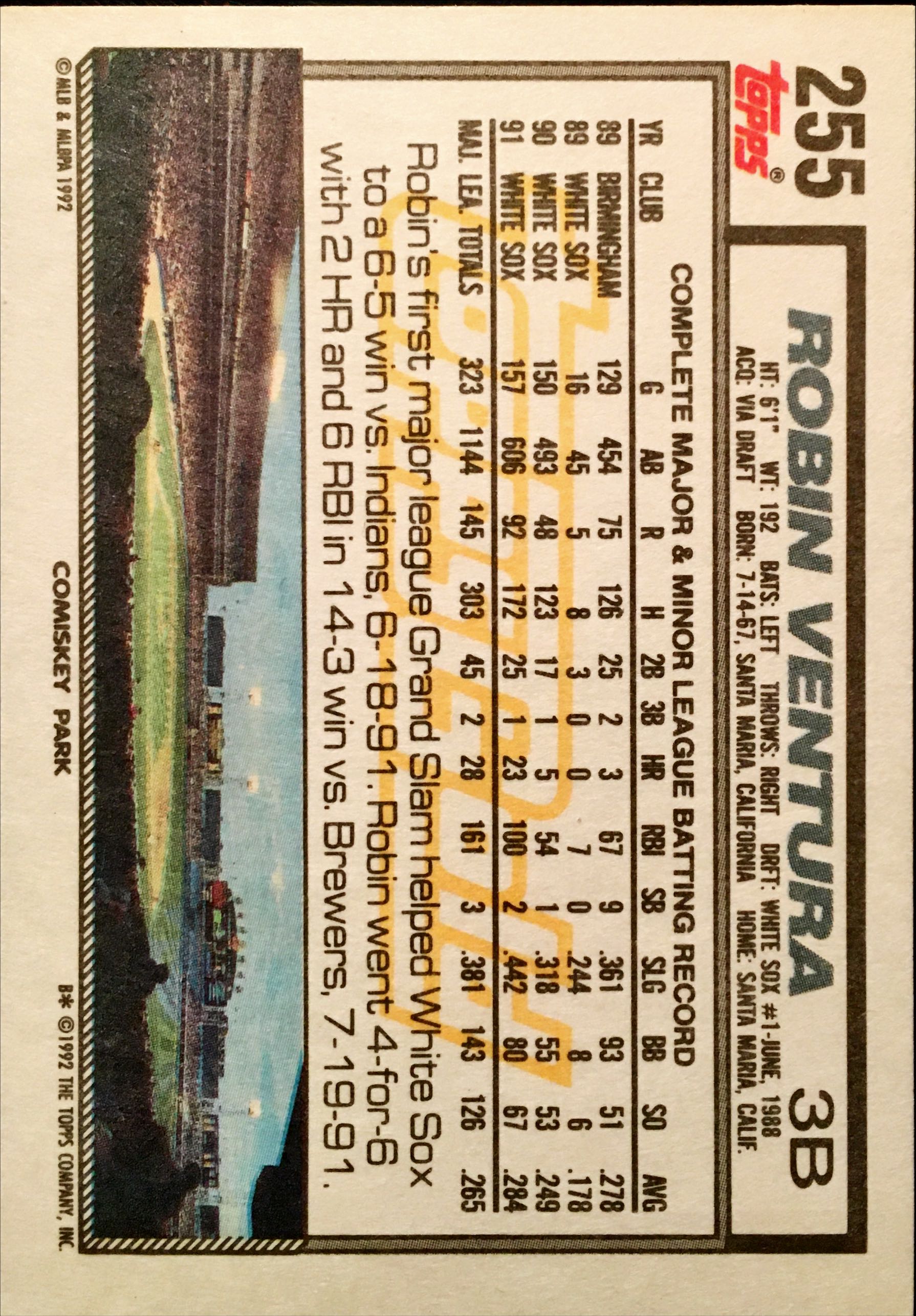 1992 Topps Gold 255 back image
