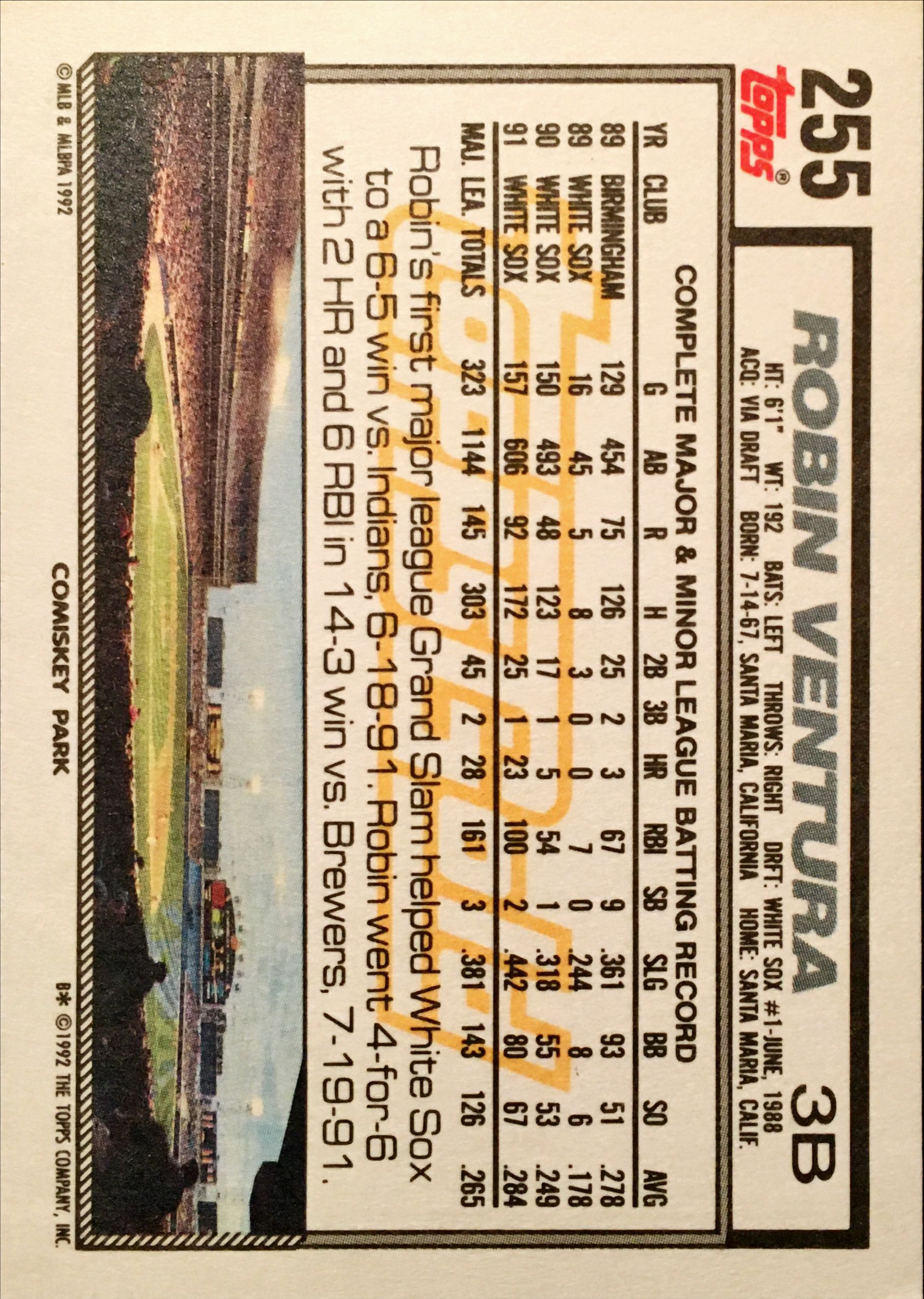 1992 Topps Gold Winners 255 back image