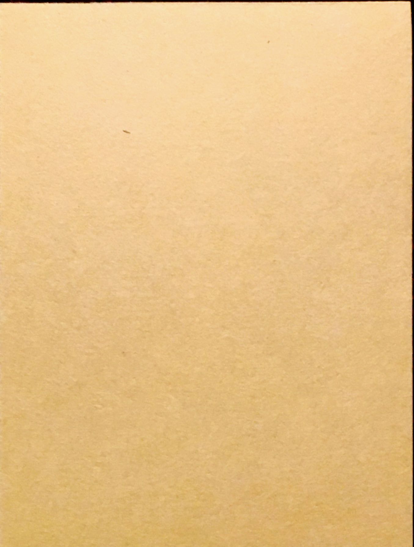 1993 Red Foley  101 back image