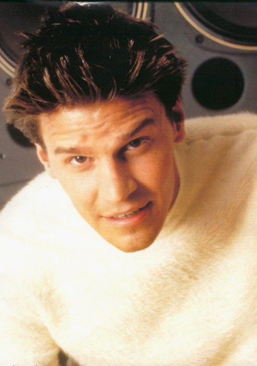 Image of David Boreanaz