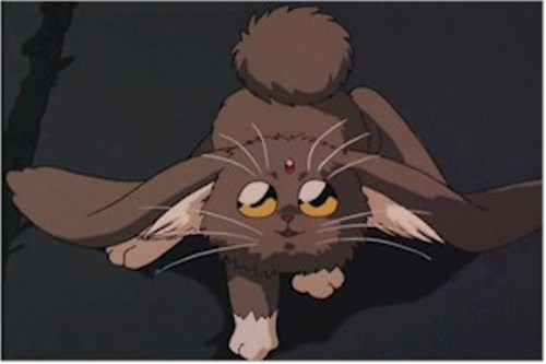 Image 5 of this episode